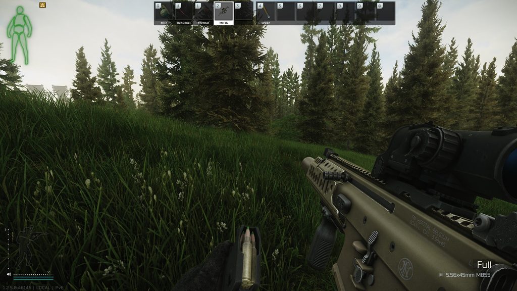 Escape From Tarkov, magazine check